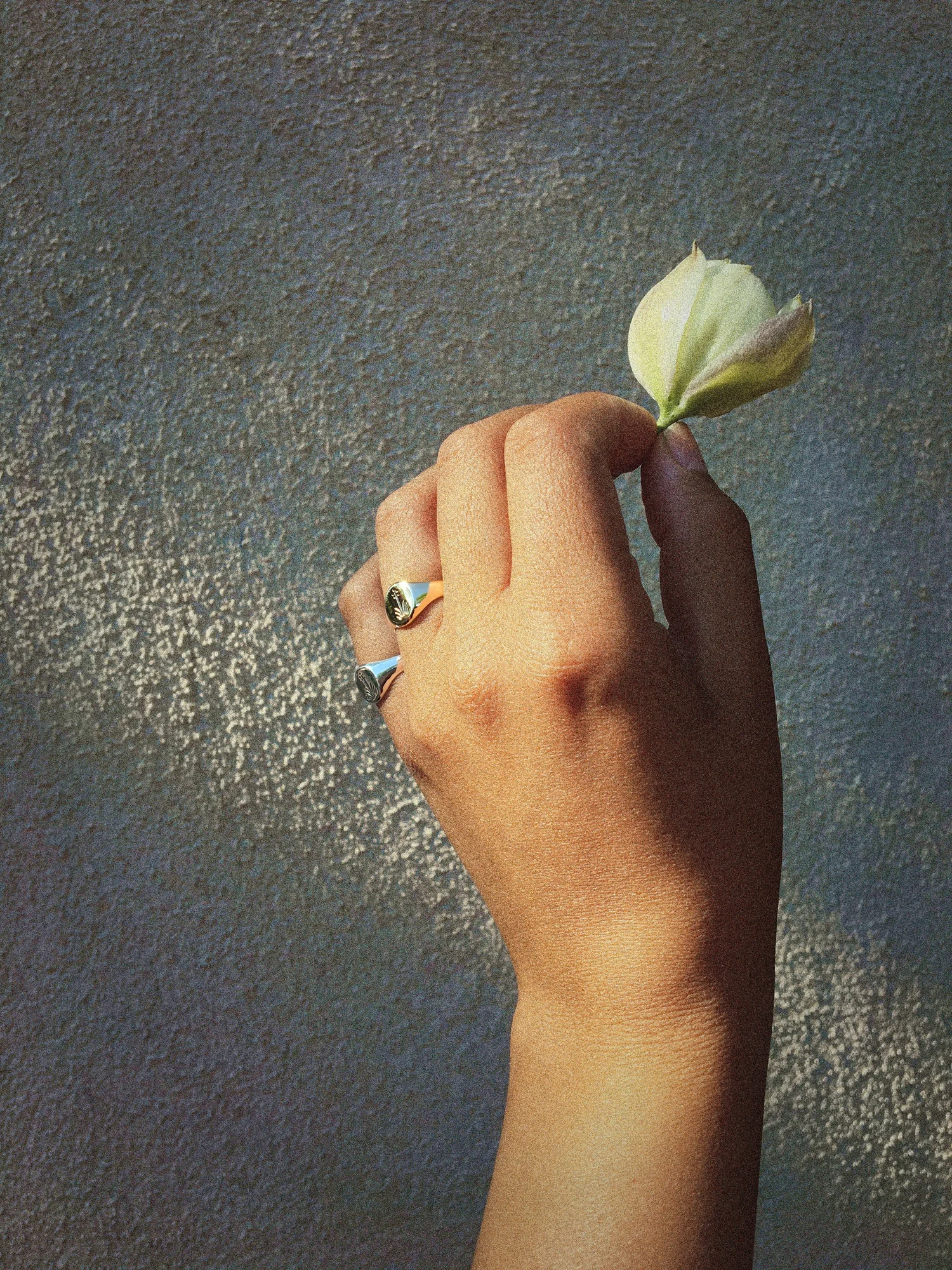 Yucca Signet Ring — Sophie Kissin Jewelry